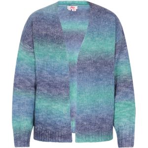 MYMO Gebreid vest  blauw / gemengde kleuren