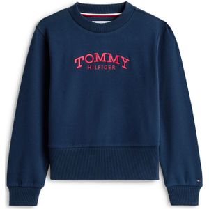 TOMMY HILFIGER Sweatshirt  navy / lichtrood