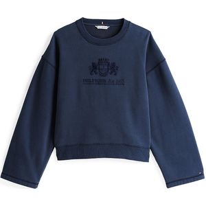 TOMMY HILFIGER Sweatshirt  navy