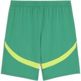 PUMA - Senegal 2025 - Korte Broek - Groen
