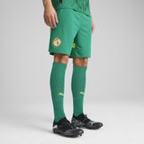 PUMA - Senegal 2025 - Korte Broek - Groen