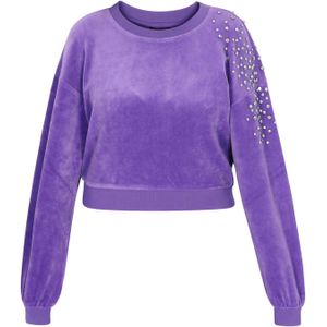 faina Sweatshirt 'Fashion Look'  donkerlila / zilver