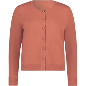 Cartoon Gebreid vest  bruin