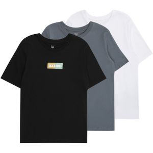 Jack & Jones Junior Shirt 'JJPAN'  beige / grijs / zwart / wit