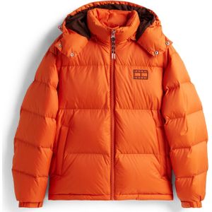 Tommy Jeans - ALASKA - Gewatteerd Jack - Regular Fit - Met Afneembare Capuchon