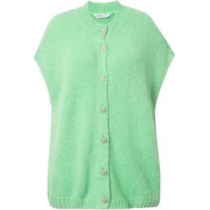 Studio Untold Gebreid vest  pastelgroen