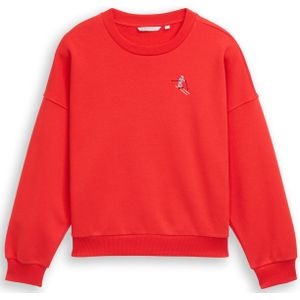 TOM TAILOR DENIM Sweatshirt  neonrood