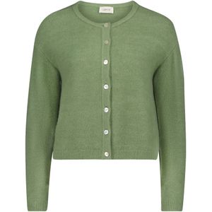 Cartoon Gebreid vest  mintgroen