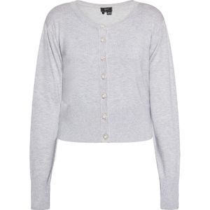 faina Gebreid vest  grijs