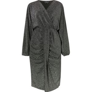 faina Jurk  zilvergrijs / zilver