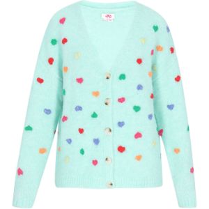 MYMO Gebreid vest  aqua / gemengde kleuren