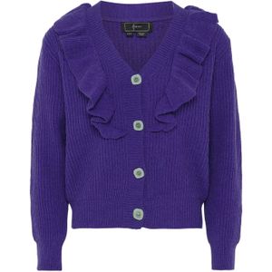 faina Gebreid vest  donkerlila