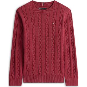 TOMMY HILFIGER Trui 'Essential'  navy / kersrood / wit