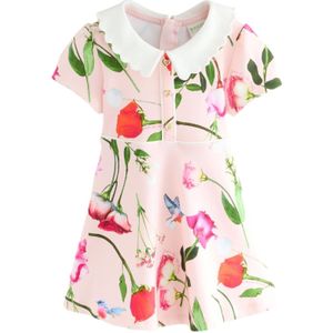 Baker by Ted Baker Jurk  groen / rosa / rood / wit