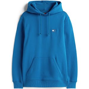 Tommy Jeans Dm0dm09593 Hoodie