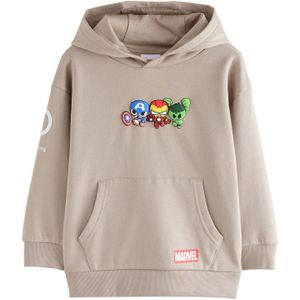 Next Sweatshirt  blauw / taupe / limoen / vuurrood