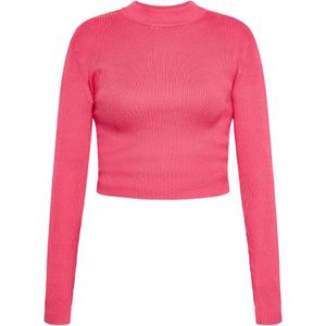 faina Trui  framboos