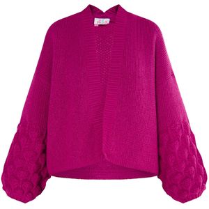 IZIA Gebreid vest  bessen