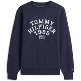 Tommy Hilfiger Heren HILFIGER ARCH SWEATSHIRT MW0MW41426 Pullover Sweatshirt, BLAUW, XS, Blauw (Woestijnhemel), XS