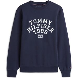TOMMY HILFIGER Sweatshirt  navy / wit