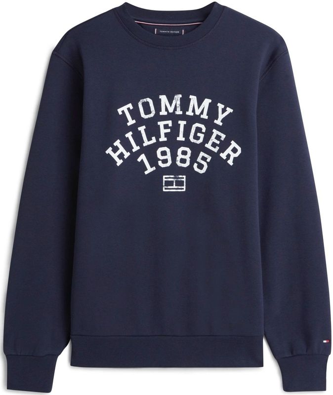 Tommy Hilfiger Heren HILFIGER ARCH SWEATSHIRT MW0MW41426 Pullover Sweatshirt, BLAUW, XS, Blauw (Woestijnhemel), XS