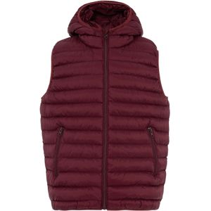 Daniel Hills Bodywarmer  bordeaux