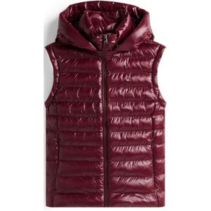 TOMMY HILFIGER Bodywarmer  wijnrood