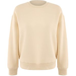 Trendyol Sweatshirt  stone grey