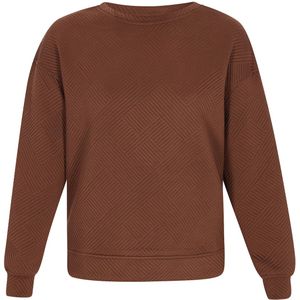 faina Athlsr Sweatshirt  bruin