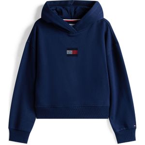 TOMMY HILFIGER - Sweatshirt - Navy - Met Capuchon - Logoprint