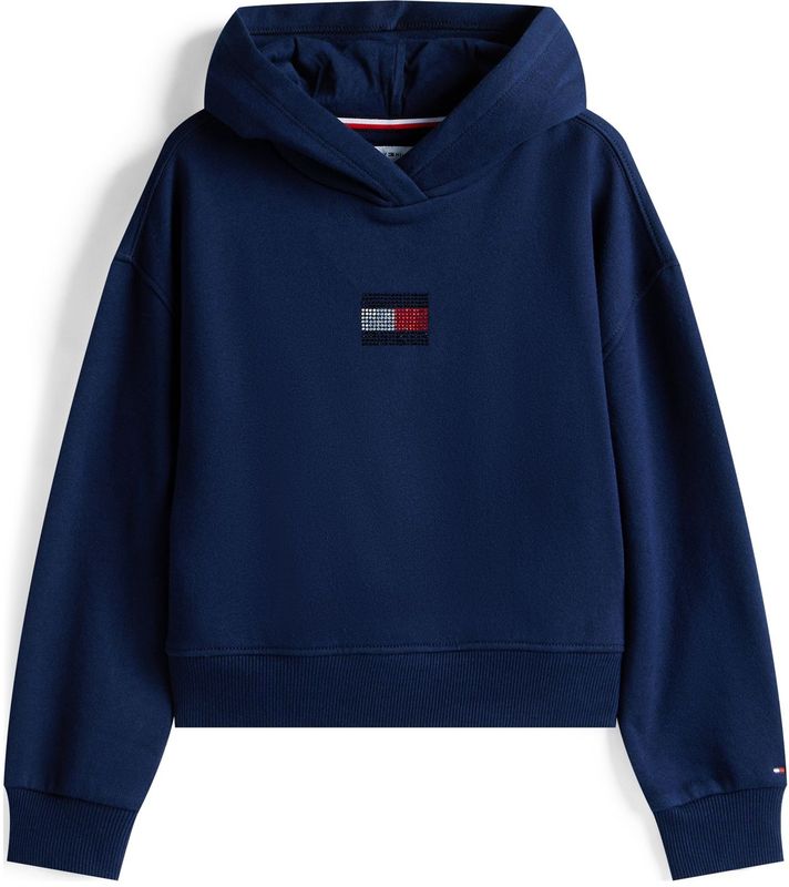 TOMMY HILFIGER - Sweatshirt - Navy - Met Capuchon - Logoprint