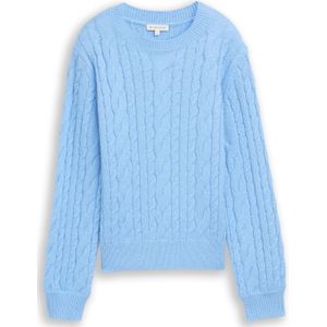 TOM TAILOR Trui  lichtblauw