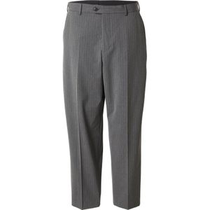 SELECTED Pantalon 'SLHLIAM'  lichtgrijs / donkergrijs