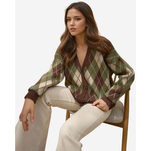 Hiccup Gebreid vest  lichtbeige / bruin / kaki