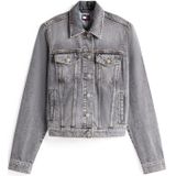 Tommy Jeans Tussenjas 'CLSSC'  grey denim / lichtrood / wit
