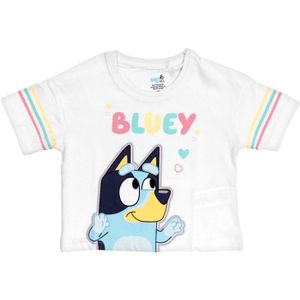 Bluey Shirt 'Bluey & Bingo'  hemelsblauw / geel / pink / wit