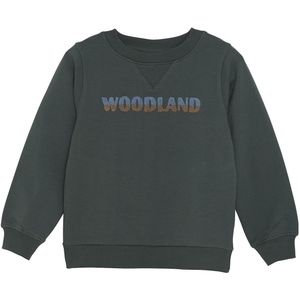 EN FANT Sweatshirt  blauw / geel / donkergroen