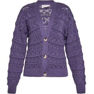 usha FESTIVAL Gebreid vest  lila