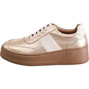 Next Sneakers laag  beige / goud