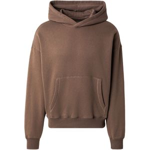 HOLLISTER Sweatshirt  chocoladebruin