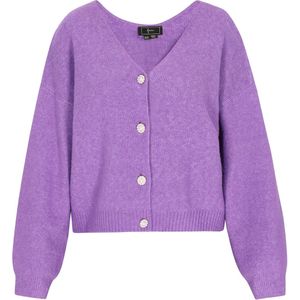 faina Oversized vest  lavendel / zwart