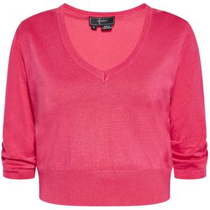 faina Trui  framboos