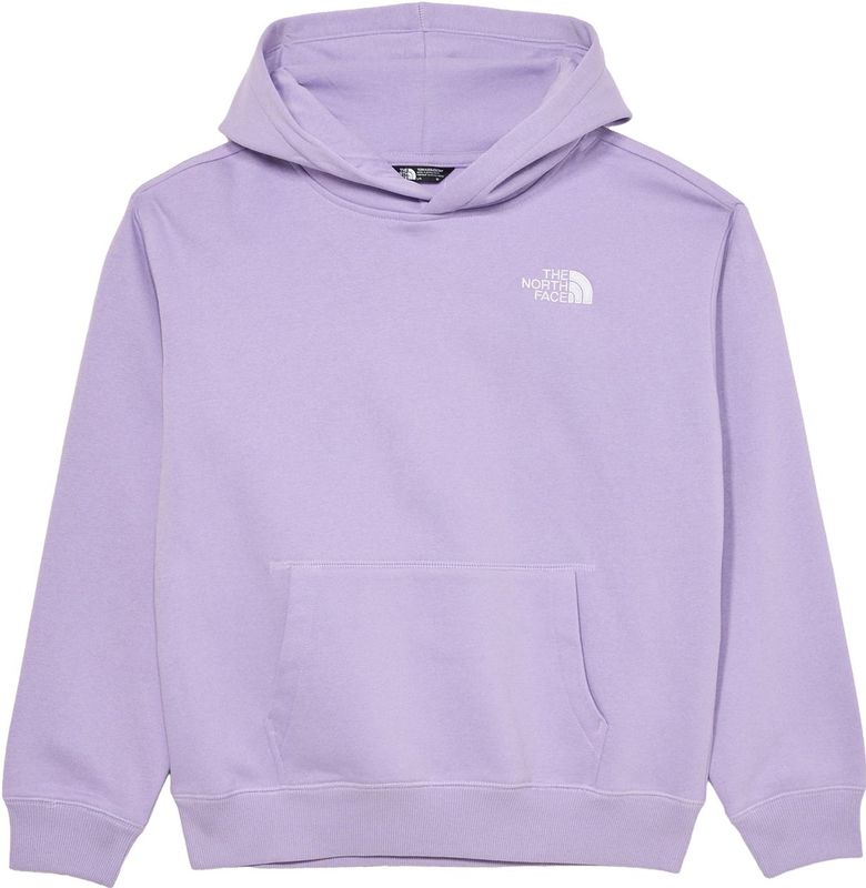 The North Face Oversized Essential-hoodie Voor Tieners Lite Lilac male