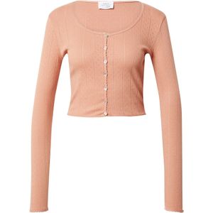 Daahls by Emma Roberts exclusively for ABOUT YOU Gebreid vest 'Cami'  lichtbruin