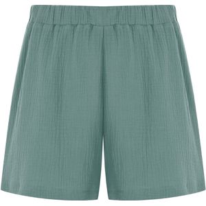 FRESHLIONS Broek  mintgroen