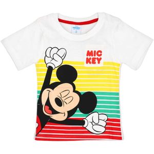DISNEY Shirt  geel / grasgroen / bloedrood / wit