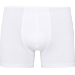 Hanro Boxershorts 'Cotton Superior'  wit
