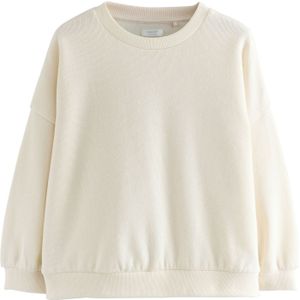 Next Sweatshirt  wolwit