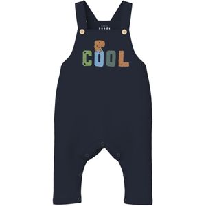 NAME IT Broek 'NBMVONNE'  marine / lichtblauw / cognac / lichtgroen