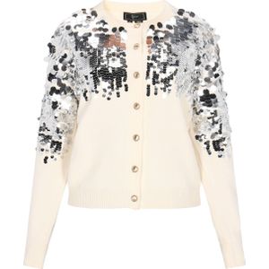 faina Gebreid vest  zilver / offwhite